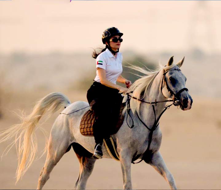 Horse riding training school -